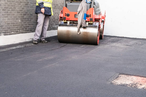 Driveway Pressure Washing in Centralia, WA